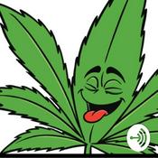 Podcast High Talk