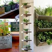 Podcast Huerto en casa