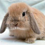 Podcast INFORMACIÓN DE CONEJOS