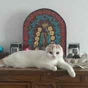 Podcast It sucks sometimes