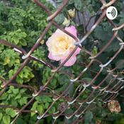 Podcast It’s just life!!!! So f&amp;@$ it let’s talk!!!!