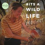Podcast #itsawildlife