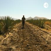 Podcast José en Oaxaca