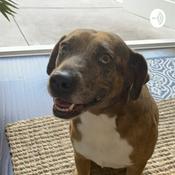 Podcast Kaiya’s rambles