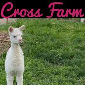 Podcast KB Cross Farm