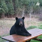 Podcast La Estación Pirata