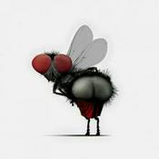 Podcast La Moska Kojonera