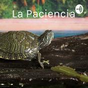 La Paciencia - Un super poder