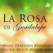 Podcast La rosa de Guadalupe