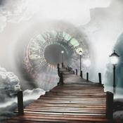 Podcast Le bruit de leurs vies