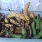 Podcast Los Aguafiestas