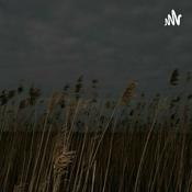 Podcast Love, Like, Hate & Dislike.