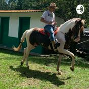 Podcast Marcial Díaz#10 VALORES