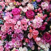 Podcast Me Amo, Te Amo! 💗💓