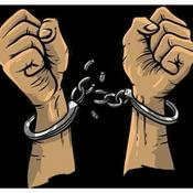 Podcast Reality is awesome