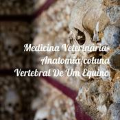 Podcast Medicina Veterinária- Anatomia/coluna Vertebral De Um Equino