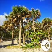 Podcast Millennial Relationships