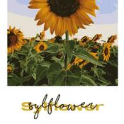 Podcast Modo avión by Sylflower