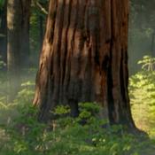 Podcast Morning Coffee by Belén