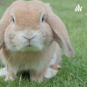 Podcast My Magical Cottagecore Life