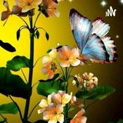 Podcast My testimony: The Way, The Truth, The Life.