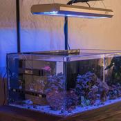 Podcast Nano Reefing Podcast