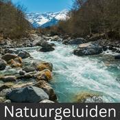 Podcast Natuurgeluiden