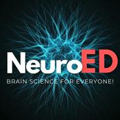 Podcast NeuroEd: Brain science for everyone!