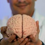 Podcast Neurofobia