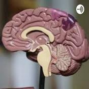 Podcast Neuropsicología y Educación