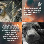 Podcast #Noalmaltratoanimal