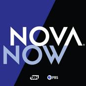 Podcast NOVA Now