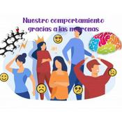 Podcast Nuestro comportamiento gracias a las hormonas