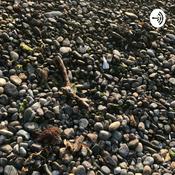 Podcast Odofia Sports Talk