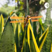 Podcast Padre Rico, Padre Pobre - El audio libro