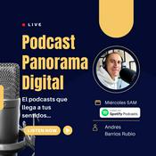 Podcast Panorama Digital - Andrés Barrios Rubio