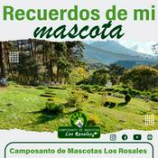 Podcast Para Guardar los Recuerdos de Mi Mascota