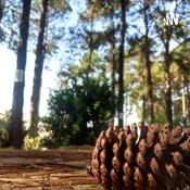 Podcast Passa a visão