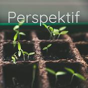 Podcast Perspektif