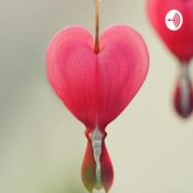Podcast PHOWA