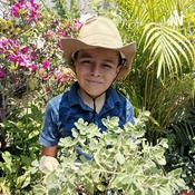 Podcast Plantas Prehistoricas