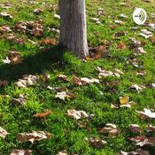 Podcast Preguntas Sobre La Vida Y Salud Mental, Desde Mi Punto De Vista
