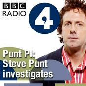 Podcast Punt PI