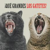 Podcast Qué Grandes
