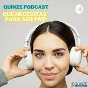 Podcast Qué Necesitas para ser PMP® ?