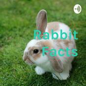 Podcast Rabbit Facts