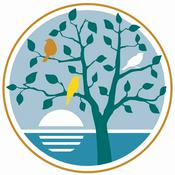 Podcast Reflective Meditation