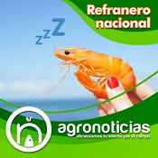 Podcast Refranero nacional