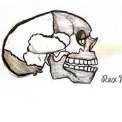 Podcast Rex的護理日記