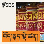 Podcast SBS Tibetan - SBS བོད་སྐད་སྡེ་ཚན།